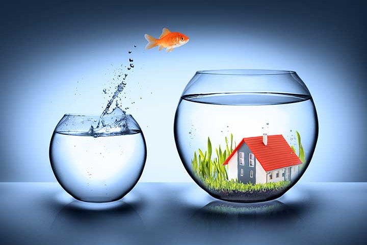 Fish jumping from small tank to big tank with a house in it