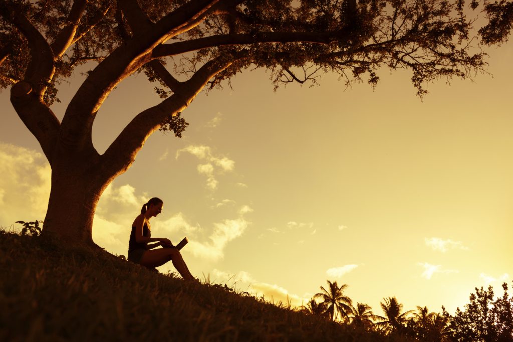 Woman doing work on laptop on a grassy hill under tree