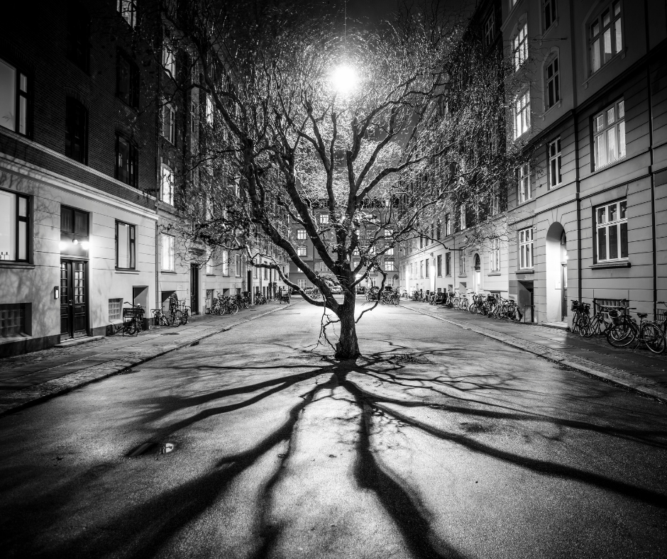 tree casting shadow