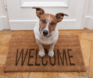 Welcome Mat Dog welcome mat